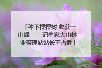 种下棵棵树 收获一山绿——记牟家大山林业管理站站长王占胜