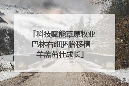 科技赋能草原牧业 巴林右旗胚胎移植羊羔茁壮成长