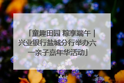 童趣田园 粽享端午｜兴业银行盐城分行举办六一亲子嘉年华活动