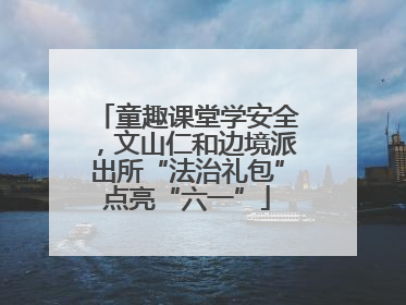 童趣课堂学安全，文山仁和边境派出所“法治礼包”点亮“六一”