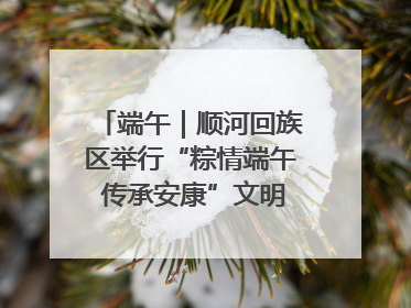 端午｜顺河回族区举行“粽情端午 传承安康”文明集市活动
