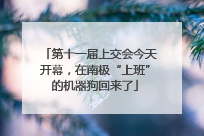 第十一届上交会今天开幕，在南极“上班”的机器狗回来了