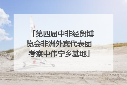 第四届中非经贸博览会非洲外宾代表团考察中伟宁乡基地