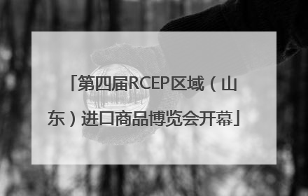 第四届RCEP区域（山东）进口商品博览会开幕