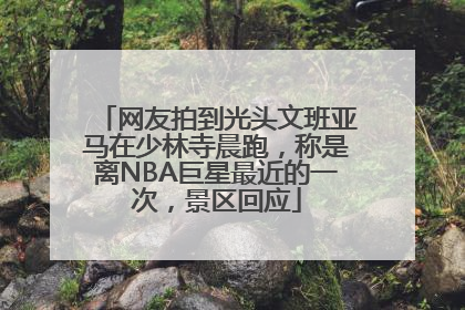 网友拍到光头文班亚马在少林寺晨跑，称是离NBA巨星最近的一次，景区回应
