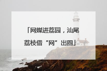 网媒进荔园，汕尾荔枝借“网”出圈