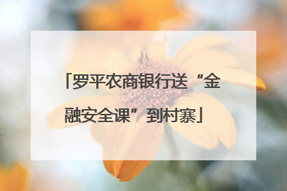 罗平农商银行送“金融安全课”到村寨