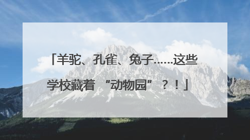 羊驼、孔雀、兔子……这些学校藏着 “动物园”？！