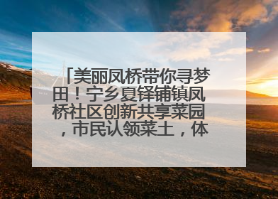 美丽凤桥带你寻梦田！宁乡夏铎铺镇凤桥社区创新共享菜园，市民认领菜土，体验耕种收获乐趣
