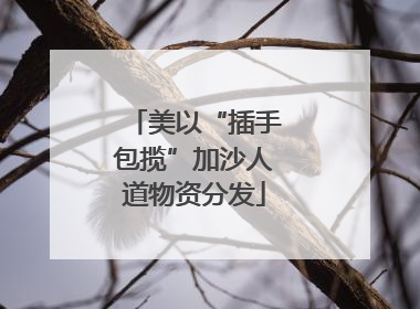 美以“插手包揽”加沙人道物资分发