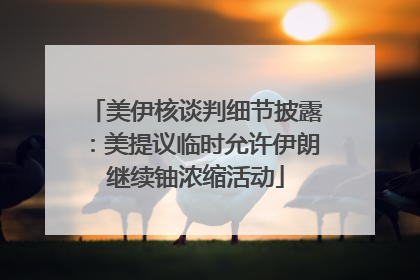 美伊核谈判细节披露：美提议临时允许伊朗继续铀浓缩活动