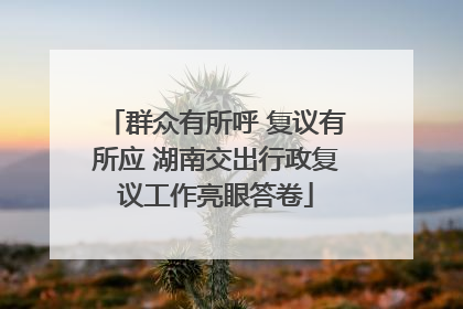 群众有所呼 复议有所应 湖南交出行政复议工作亮眼答卷