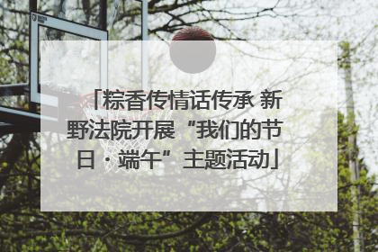 粽香传情话传承 新野法院开展“我们的节日・端午”主题活动
