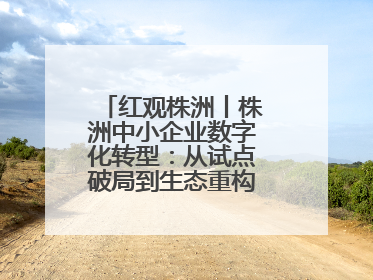 红观株洲丨株洲中小企业数字化转型：从试点破局到生态重构的进阶之路