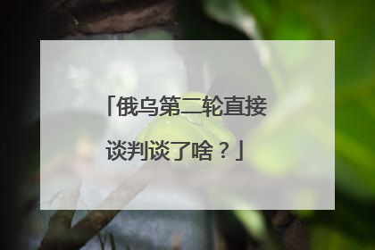 俄乌第二轮直接谈判谈了啥？