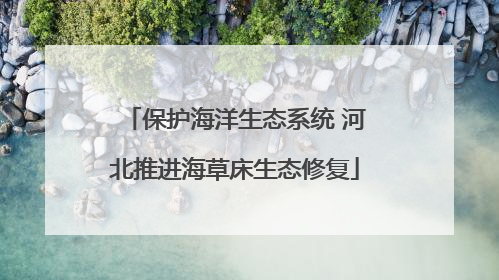保护海洋生态系统 河北推进海草床生态修复