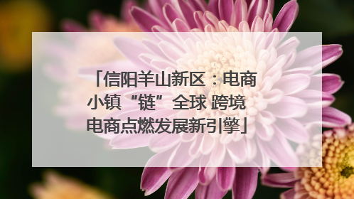 信阳羊山新区：电商小镇“链”全球 跨境电商点燃发展新引擎