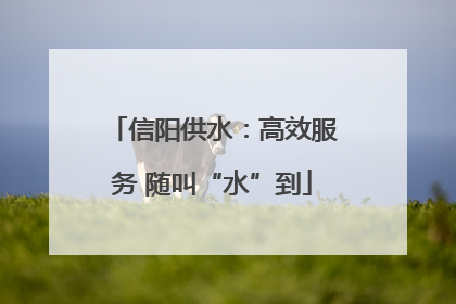 信阳供水：高效服务 随叫“水”到