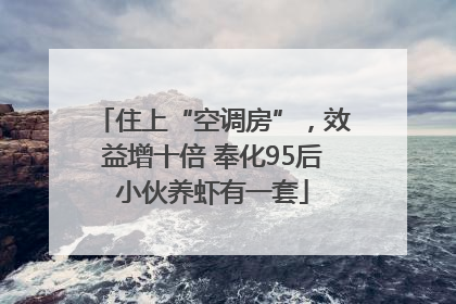 住上“空调房”，效益增十倍 奉化95后小伙养虾有一套