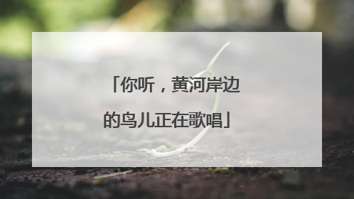 你听，黄河岸边的鸟儿正在歌唱