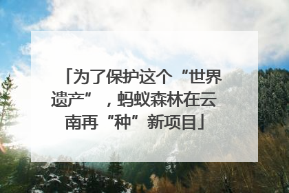 为了保护这个“世界遗产”，蚂蚁森林在云南再“种”新项目