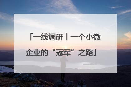 一线调研丨一个小微企业的“冠军”之路