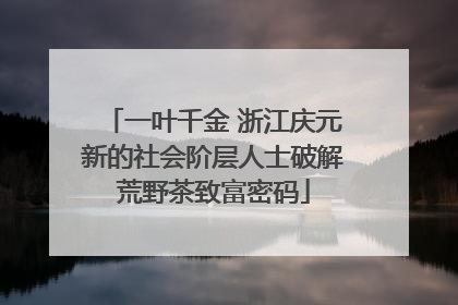 一叶千金 浙江庆元新的社会阶层人士破解荒野茶致富密码