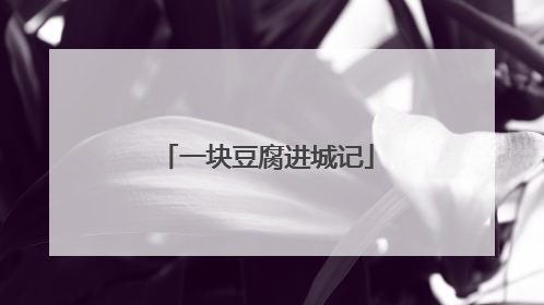 一块豆腐进城记