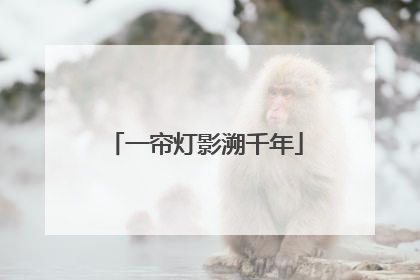 一帘灯影溯千年