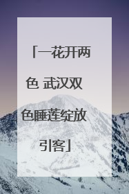 一花开两色 武汉双色睡莲绽放引客
