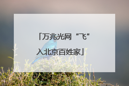 万兆光网“飞”入北京百姓家