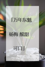 万年东魁杨梅 酸甜可口