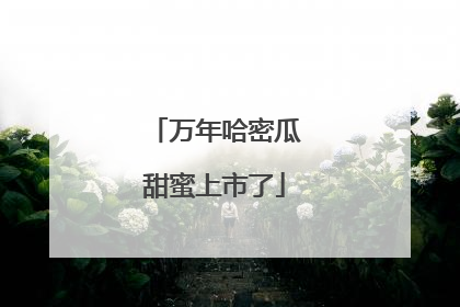 万年哈密瓜甜蜜上市了