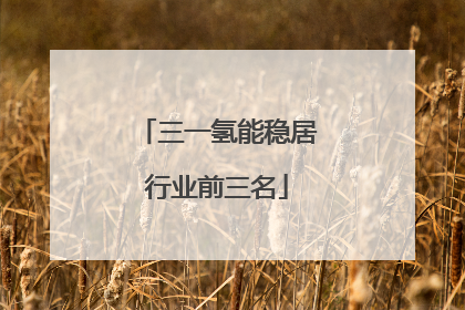 三一氢能稳居行业前三名