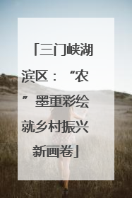 三门峡湖滨区：“农”墨重彩绘就乡村振兴新画卷