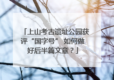 上山考古遗址公园获评“国字号” 如何做好后半篇文章？