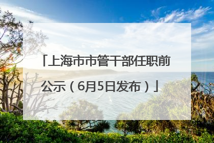 上海市市管干部任职前公示（6月5日发布）