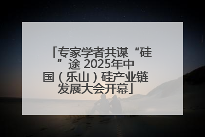专家学者共谋“硅”途 2025年中国（乐山）硅产业链发展大会开幕
