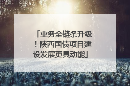 业务全链条升级！陕西国债项目建设发展更具动能