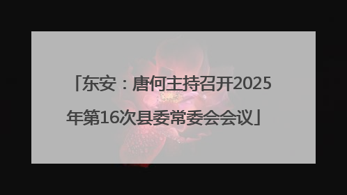 东安：唐何主持召开2025年第16次县委常委会会议