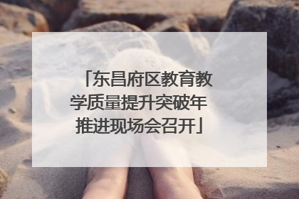 东昌府区教育教学质量提升突破年推进现场会召开