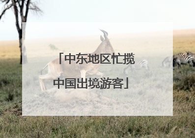 中东地区忙揽中国出境游客