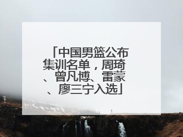 中国男篮公布集训名单，周琦、曾凡博、雷蒙、廖三宁入选