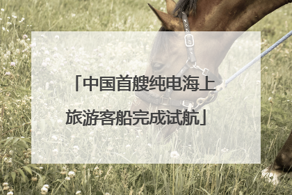 中国首艘纯电海上旅游客船完成试航