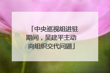 中央巡视组进驻期间，吴建平主动向组织交代问题
