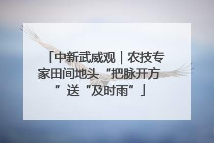 中新武威观｜农技专家田间地头“把脉开方”送“及时雨”