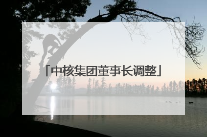 中核集团董事长调整