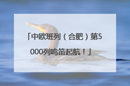 中欧班列（合肥）第5000列鸣笛起航！