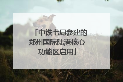 中铁七局参建的郑州国际陆港核心功能区启用