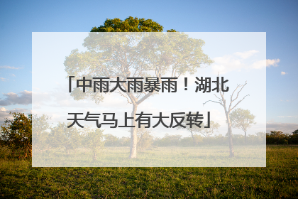 中雨大雨暴雨！湖北天气马上有大反转